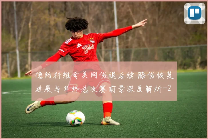 德约科维奇美网伤退后续 膝伤恢复进展与年终总决赛前景深度解析