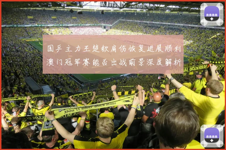 国乒主力王楚钦肩伤恢复进展顺利澳门冠军赛能否出战前景深度解析