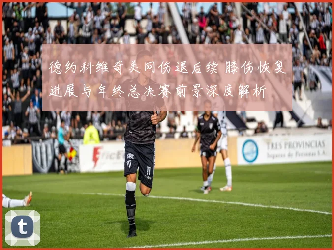 德约科维奇美网伤退后续 膝伤恢复进展与年终总决赛前景深度解析