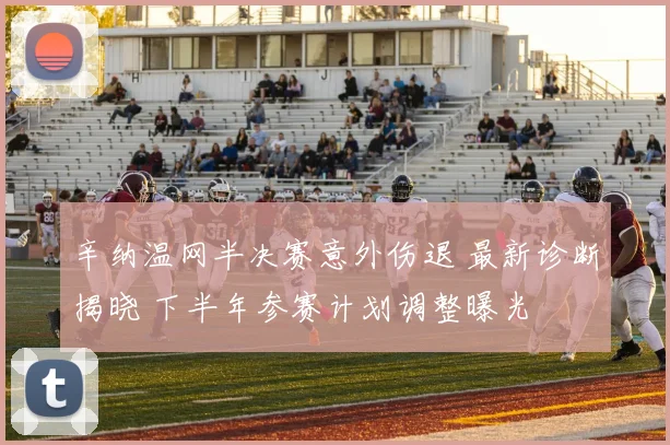辛纳温网半决赛意外伤退 最新诊断揭晓 下半年参赛计划调整曝光